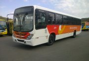 Ônibus da Frota