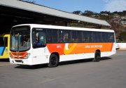 Ônibus da Frota